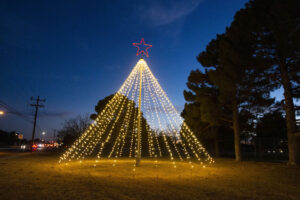 Community Christmas Tree Lighting