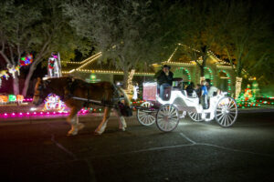 Christmas Carriage Rides return to Emerald Forest