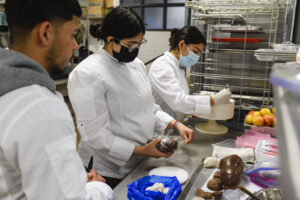 Culinary students heading for major contests