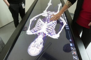 State-of-the-art study: New devices give students almost real view of anatomy
