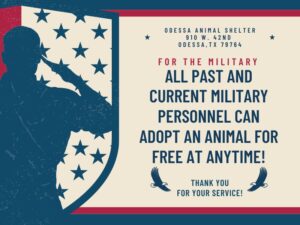 Free adoptions for vets