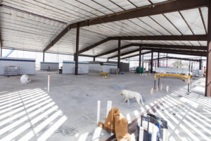 New animal shelter expected to be ready by November