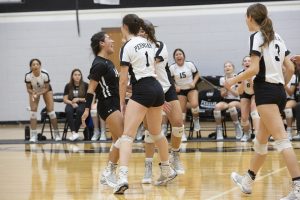 HIGH SCHOOL VOLLEYBALL: Permian opens home district schedule with sweep