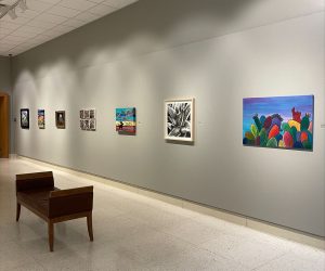 Cactus exhibition currently on display at Museum of Texas Tech