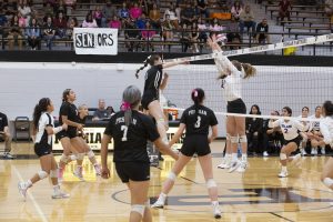 HIGH SCHOOL VOLLEYBALL: Workman leads Permian in sweep of Midland High