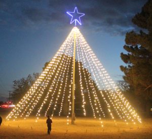 PHOTO GALLERY: Community Christmas Tree lights up at Optimist Park