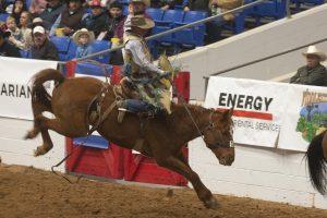 PHOTO GALLERY: Sandhills Stock Show and Rodeo 2023 begins