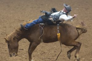 PHOTO GALLERY: SandHills Stock Show and Rodeo continues to woo crowds