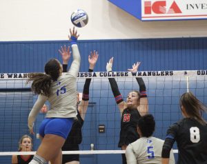 COLLEGE NOTEBOOK: Lady Wranglers in the top 25 for the first time this season