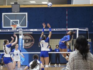COLLEGE VOLLEYBALL: WJCAC standings