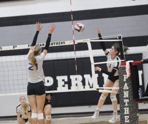HIGH SCHOOL VOLLEYBALL: Lady Panthers excited to be back in the playoffs
