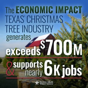 Real Texas Christmas trees boost economy, generating $397 million in direct contributions