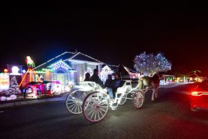 Junior League sets Christmas Carriage Rides
