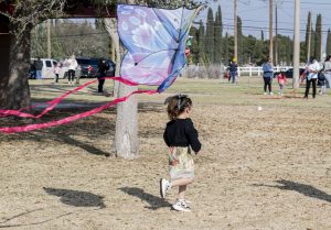 PHOTO GALLERY: Let’s Go Fly a Kite