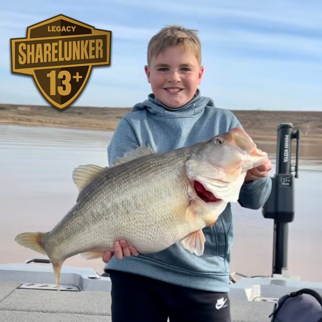 11-year-old shatters junior waterbody largemouth bass record