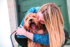 How to support your pet’s health during summer